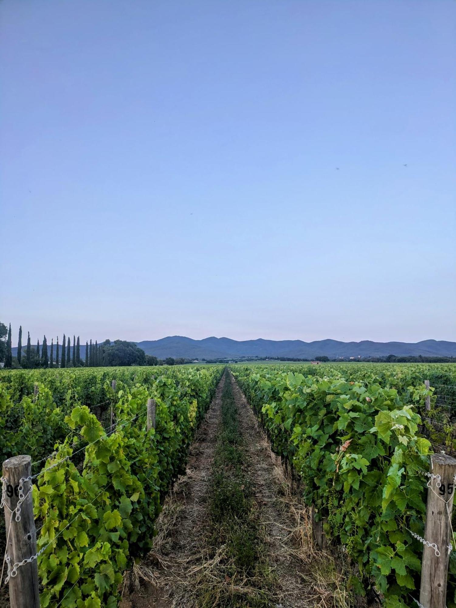 Agriturismo I Debbi Bauernhof